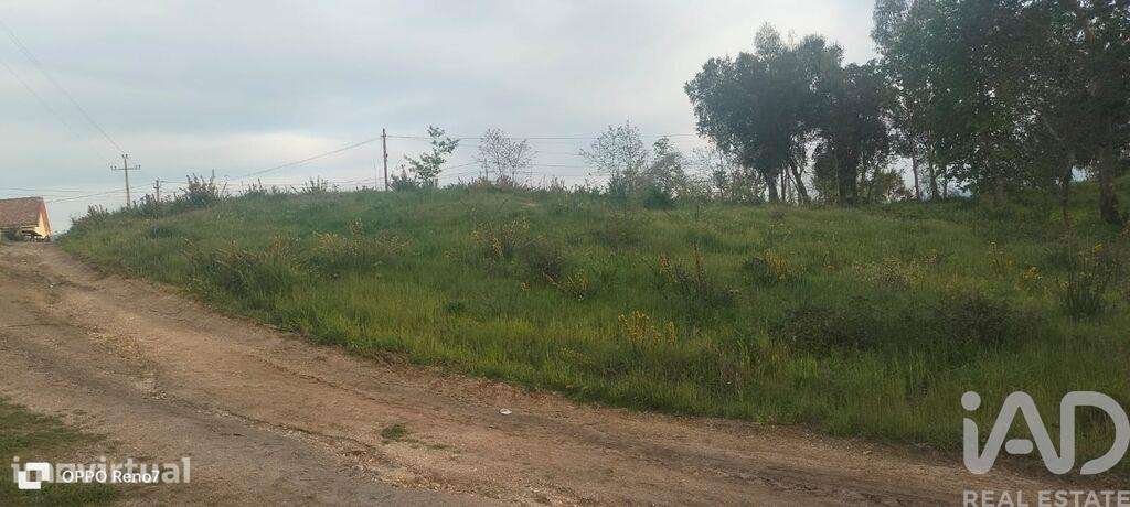 Terreno para construção em Santo isidoro e livração de 4200,00 m2 - Grande imagem: 5/30