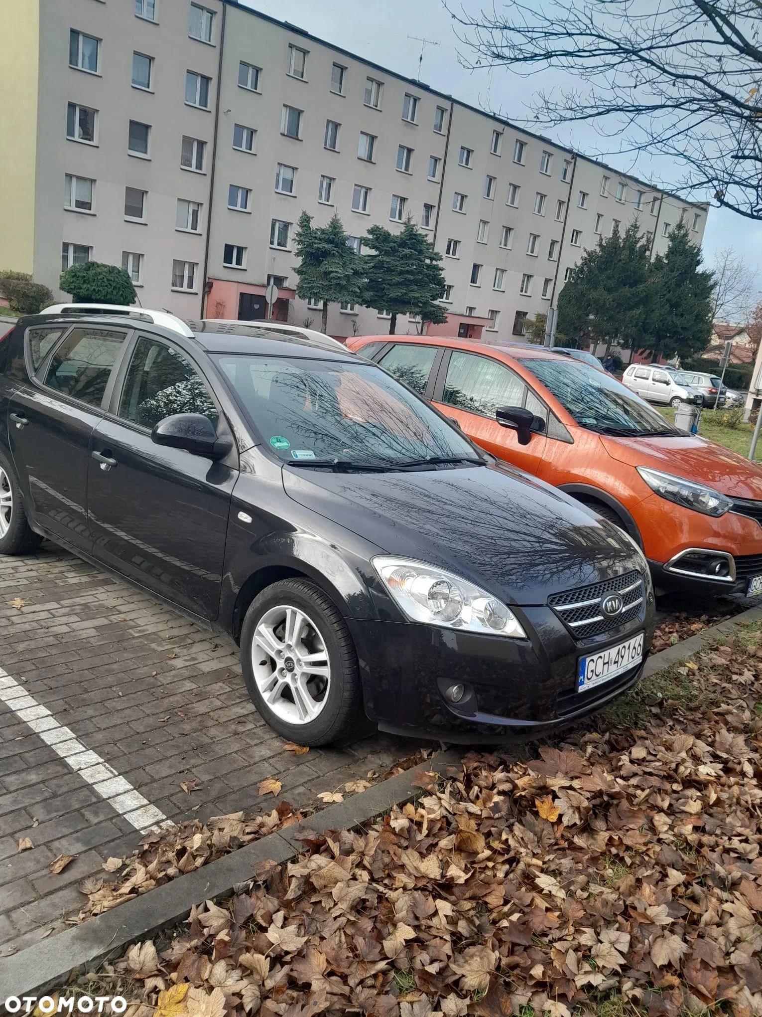 Kia Ceed - 1