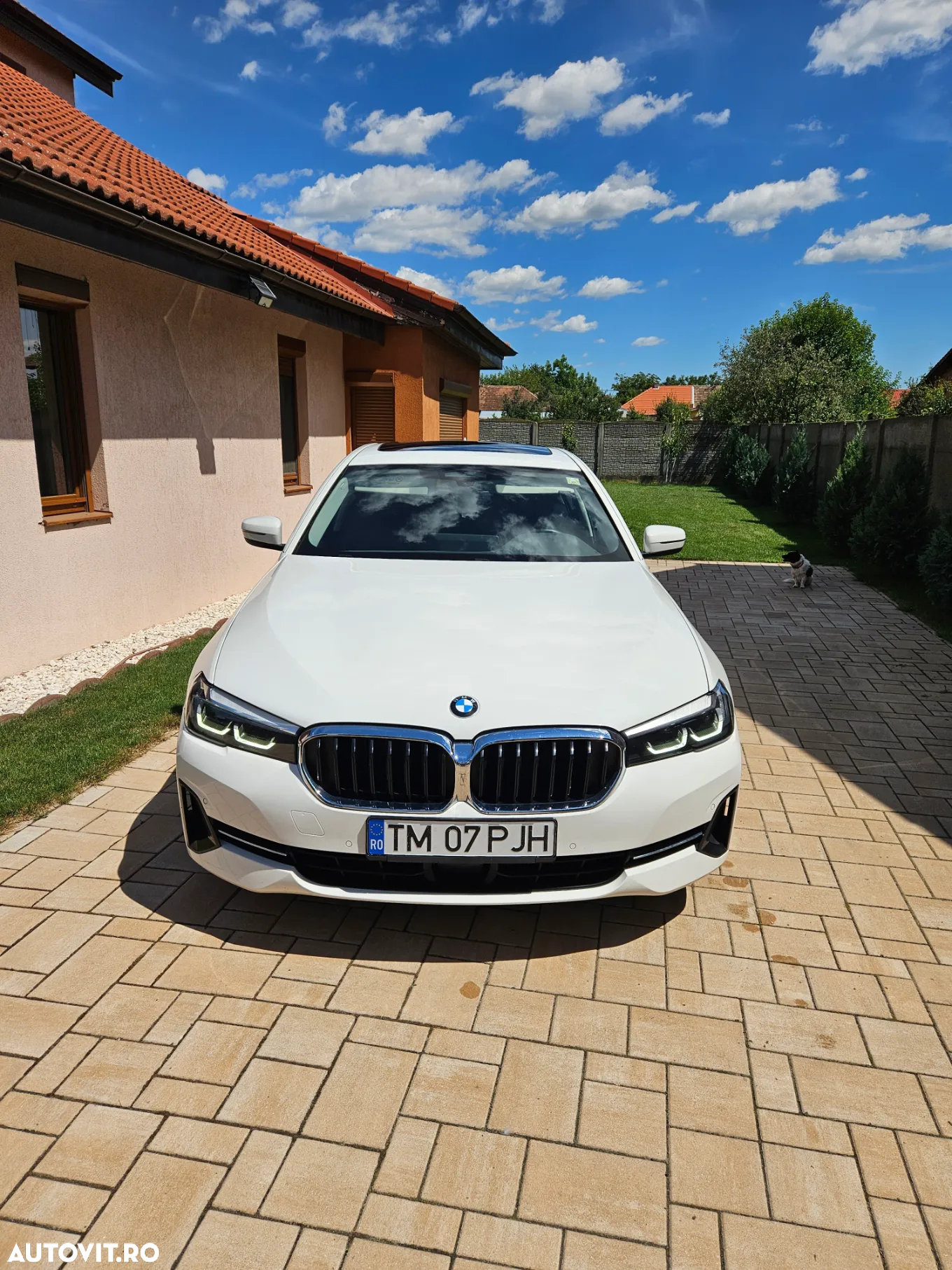 BMW Seria 5 520d xDrive AT MHEV - 2