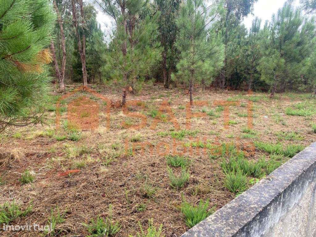 Terreno Urbano - Grande imagem: 4/4