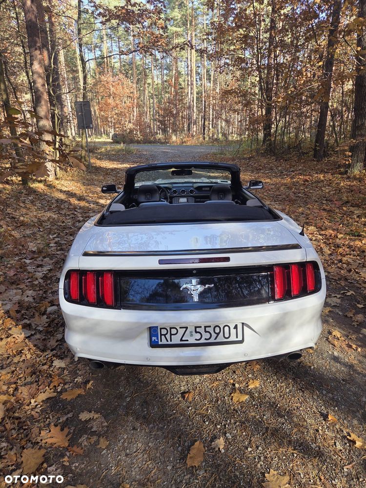 Ford Mustang 3.7 V6 - 18