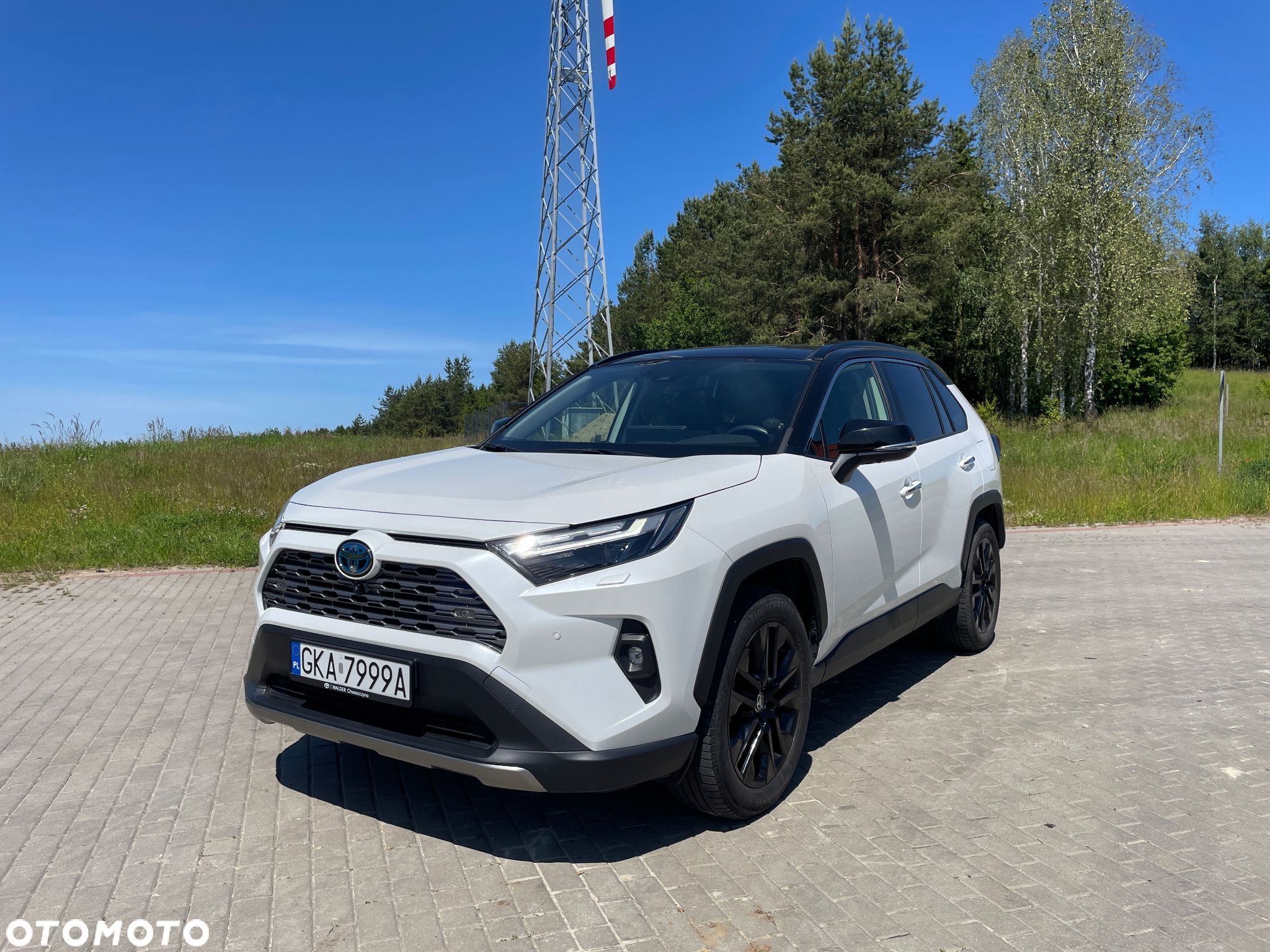 Toyota RAV4 2.5 Hybrid Executive 4x4 - 1