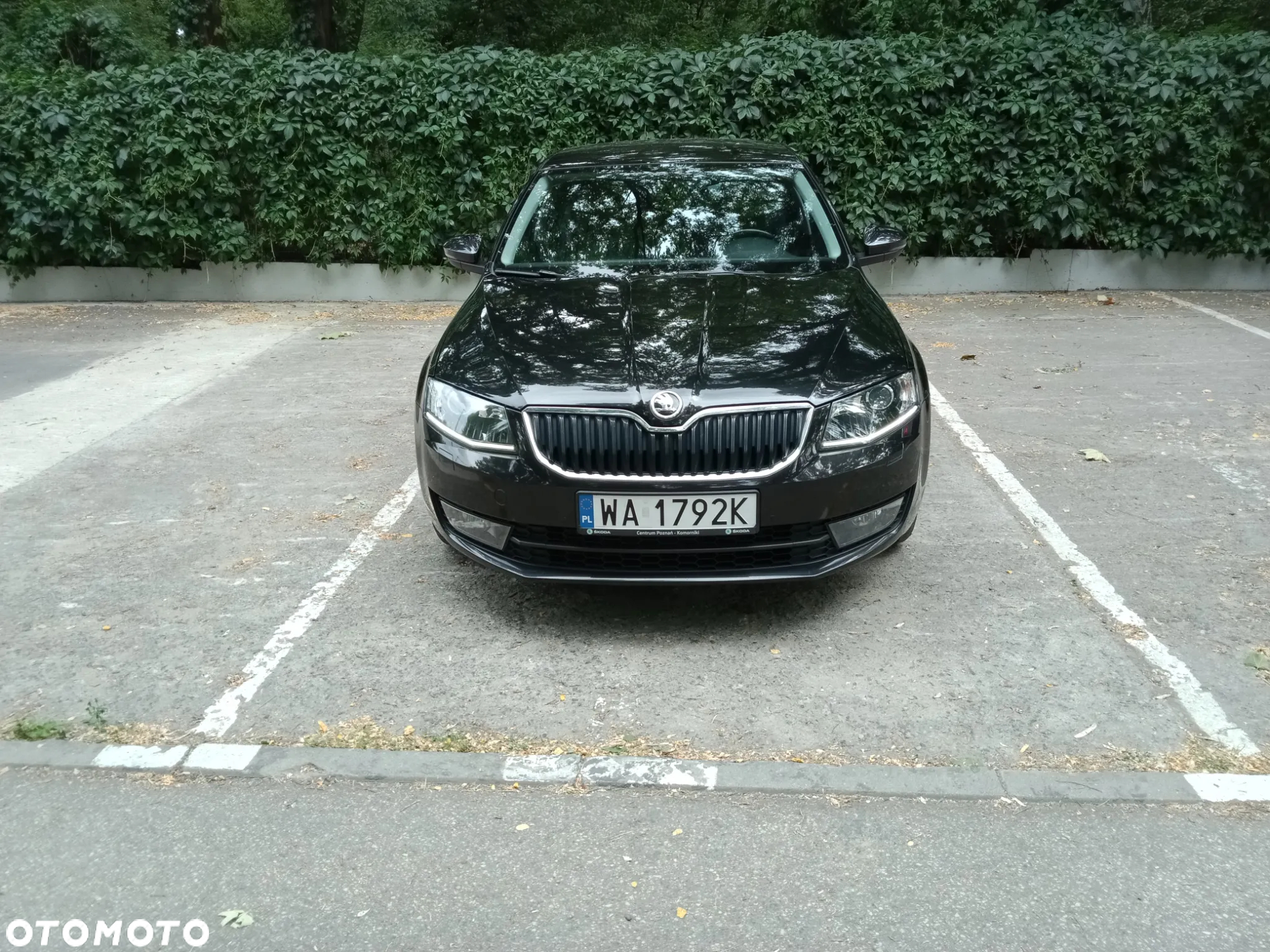 Skoda Octavia 1.8 TSI Ambition EU6 - 20