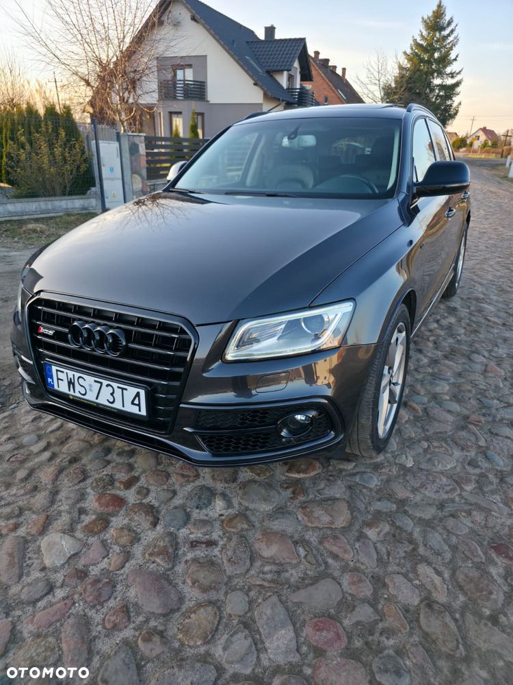 Audi SQ5 3.0 TDI Quattro Competition - 19