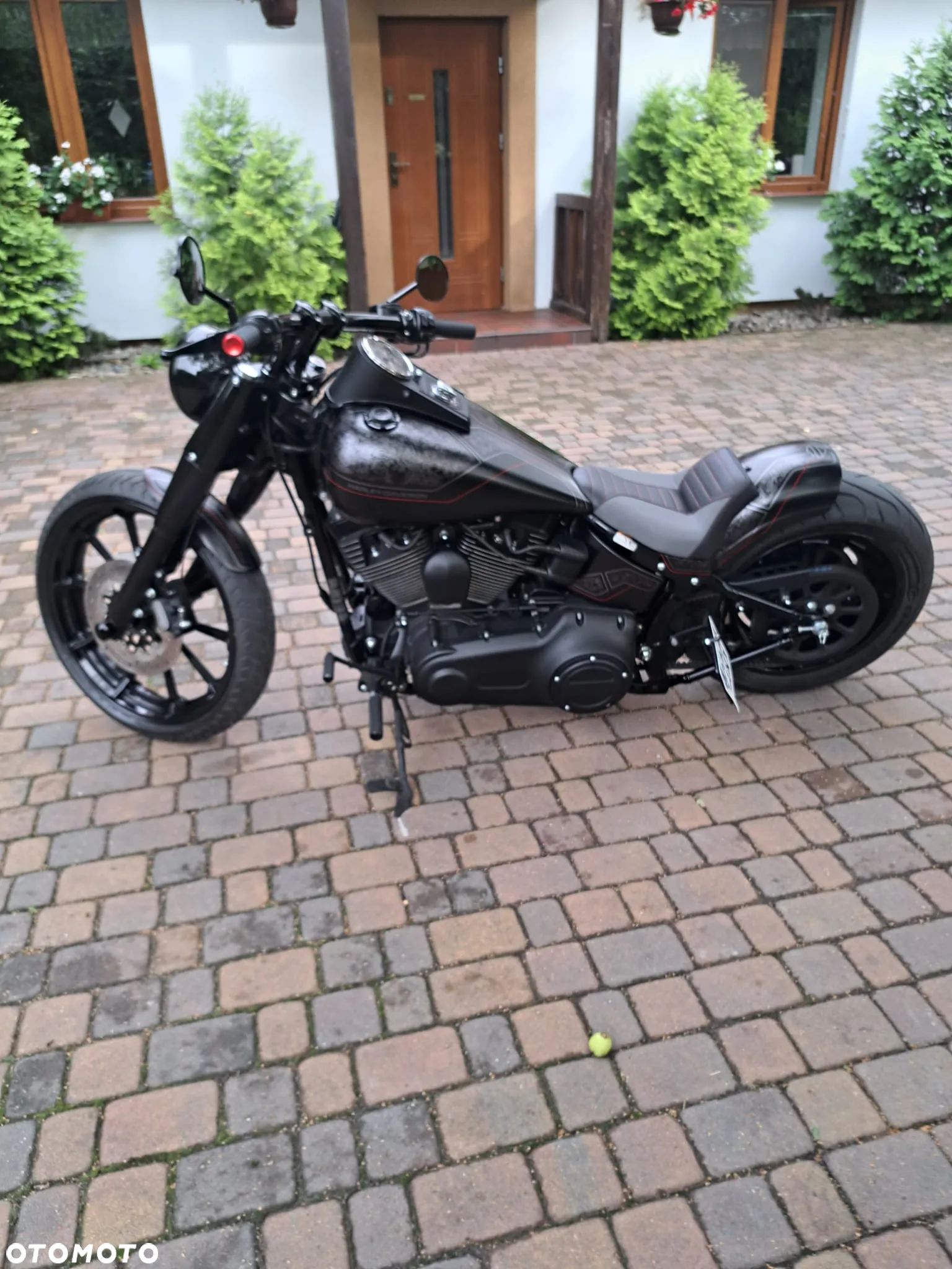 Harley-Davidson Softail Custom - 1