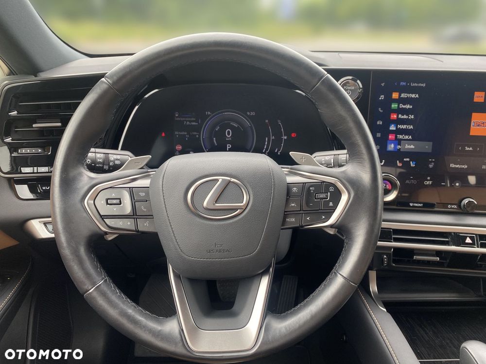 Lexus RX - 18