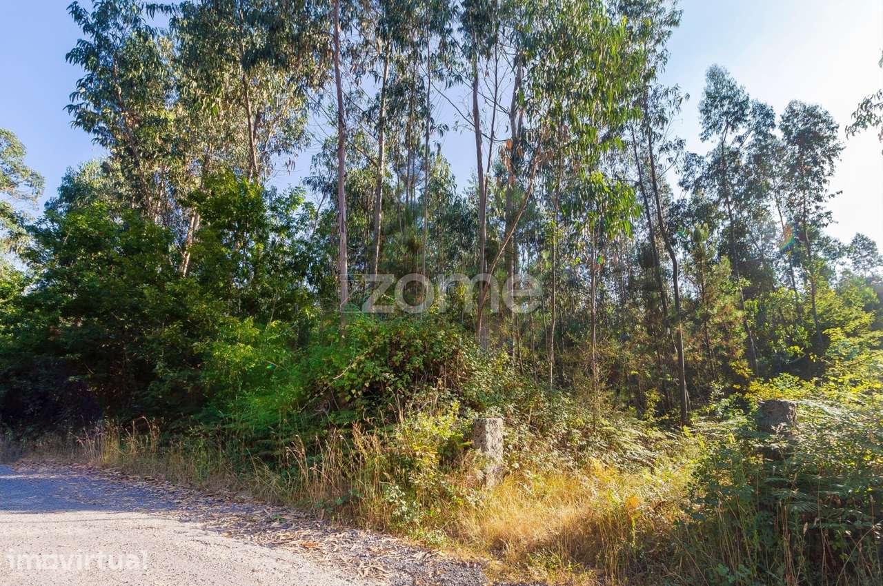 Terreno Rústico com 13.470 m2 em Monte Córdova - Santo Tirso - Grande imagem: 5/6