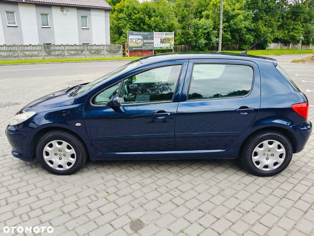 Peugeot 307 HDi 90 Grand Filou Cool - 9