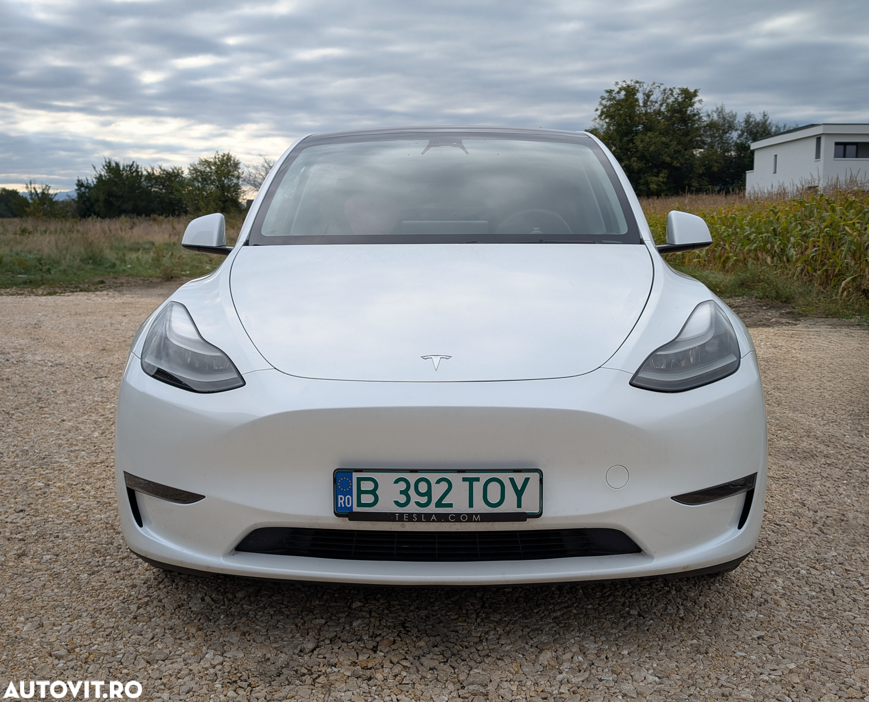 Tesla Model Y Performance - 2