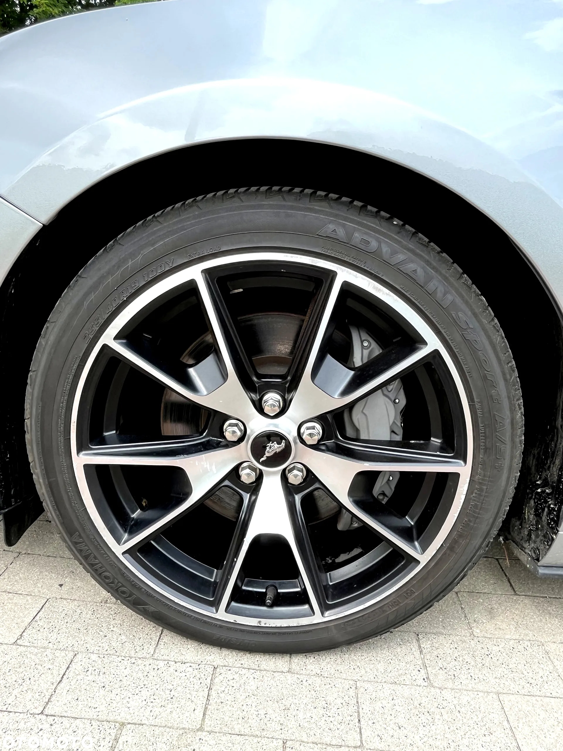 Ford Mustang 2.3 Eco Boost - 26