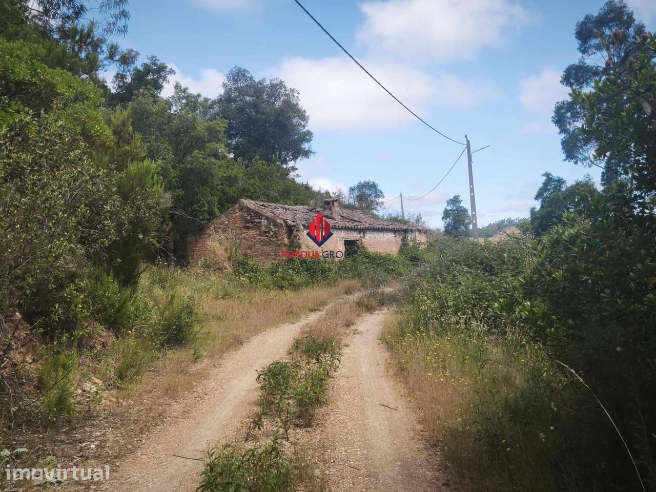 TERRENO RÚSTICO com 30 Hectares - Grande imagem: 3/15