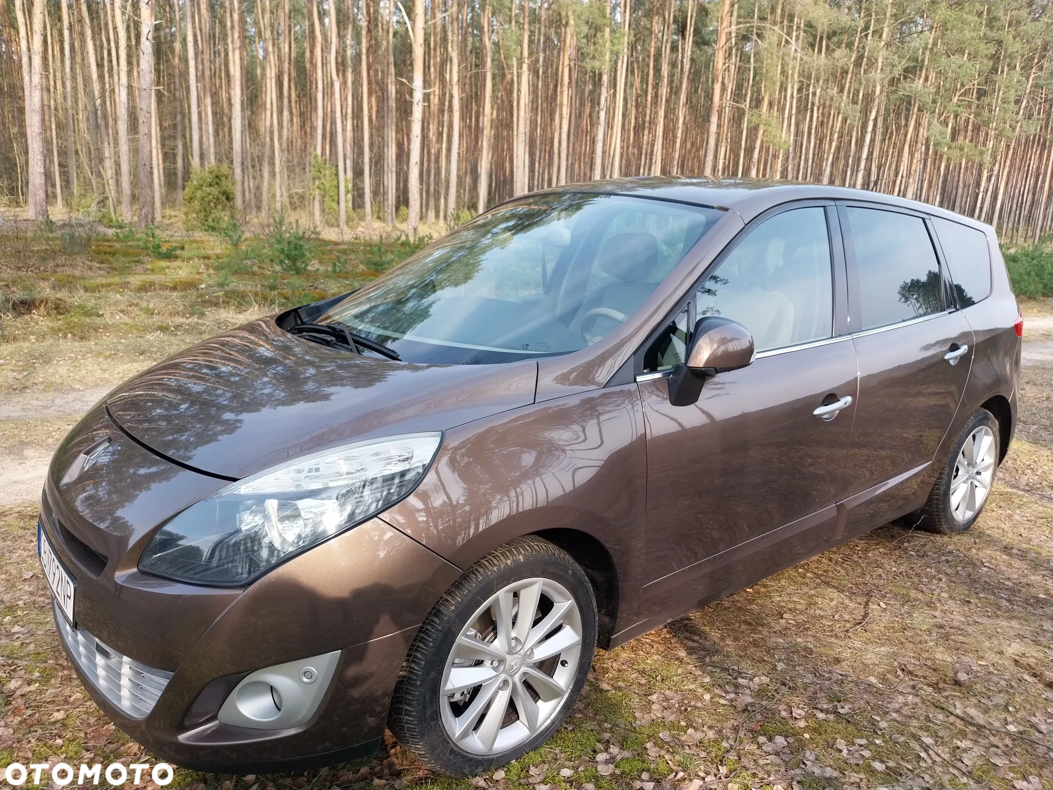 Renault Scenic - 3