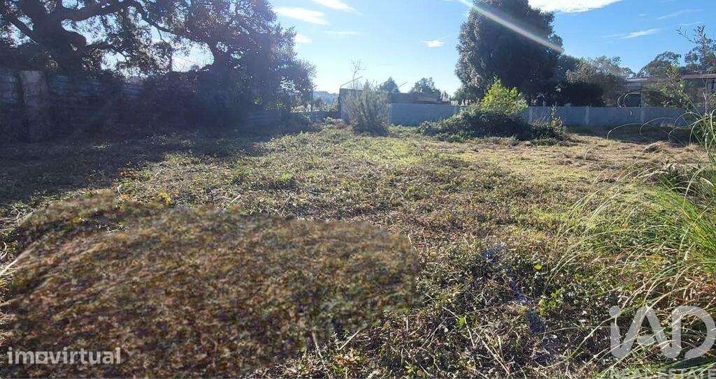 Terreno para construção em Canelas - Grande imagem: 3/4