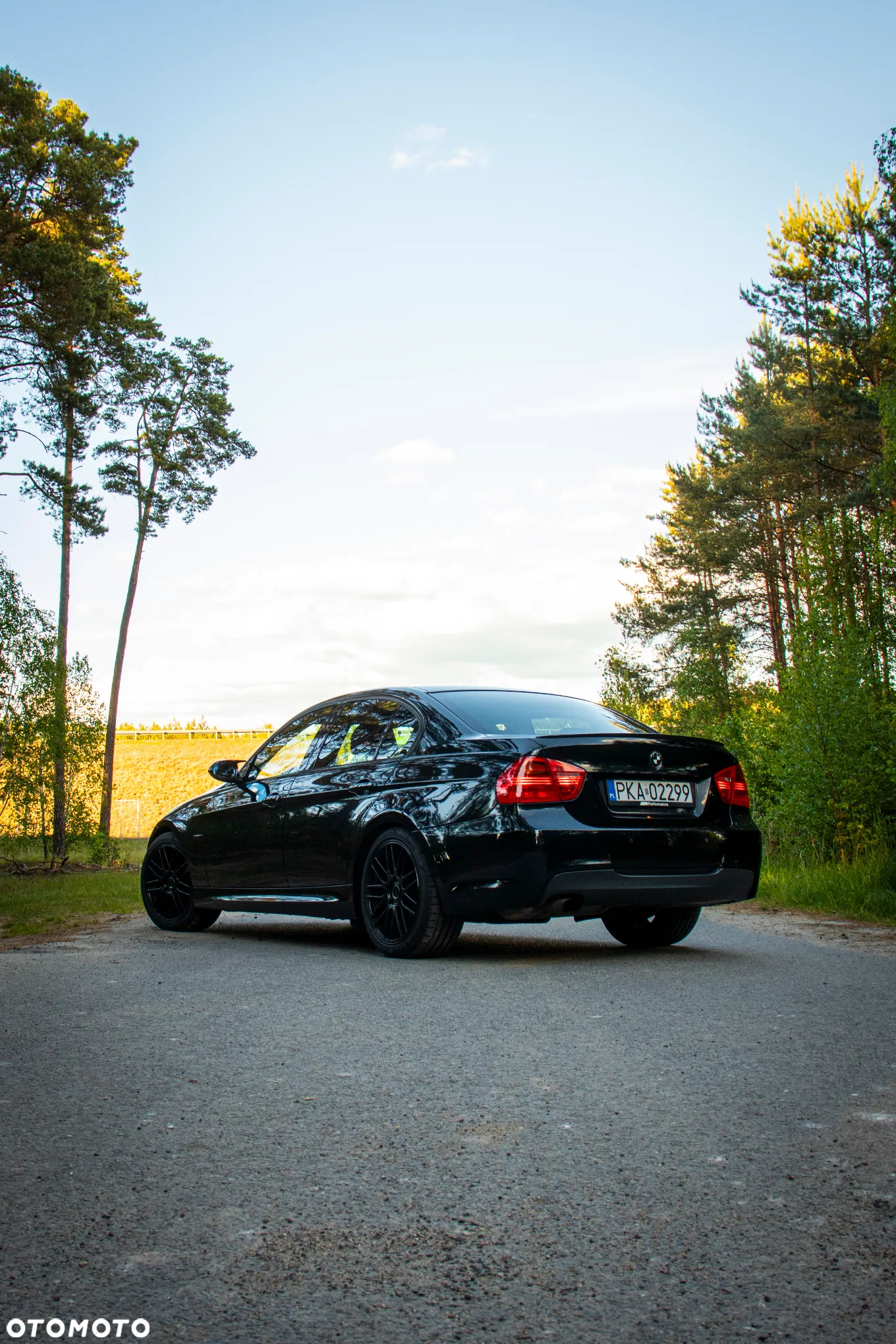 BMW Seria 3 318i - 8