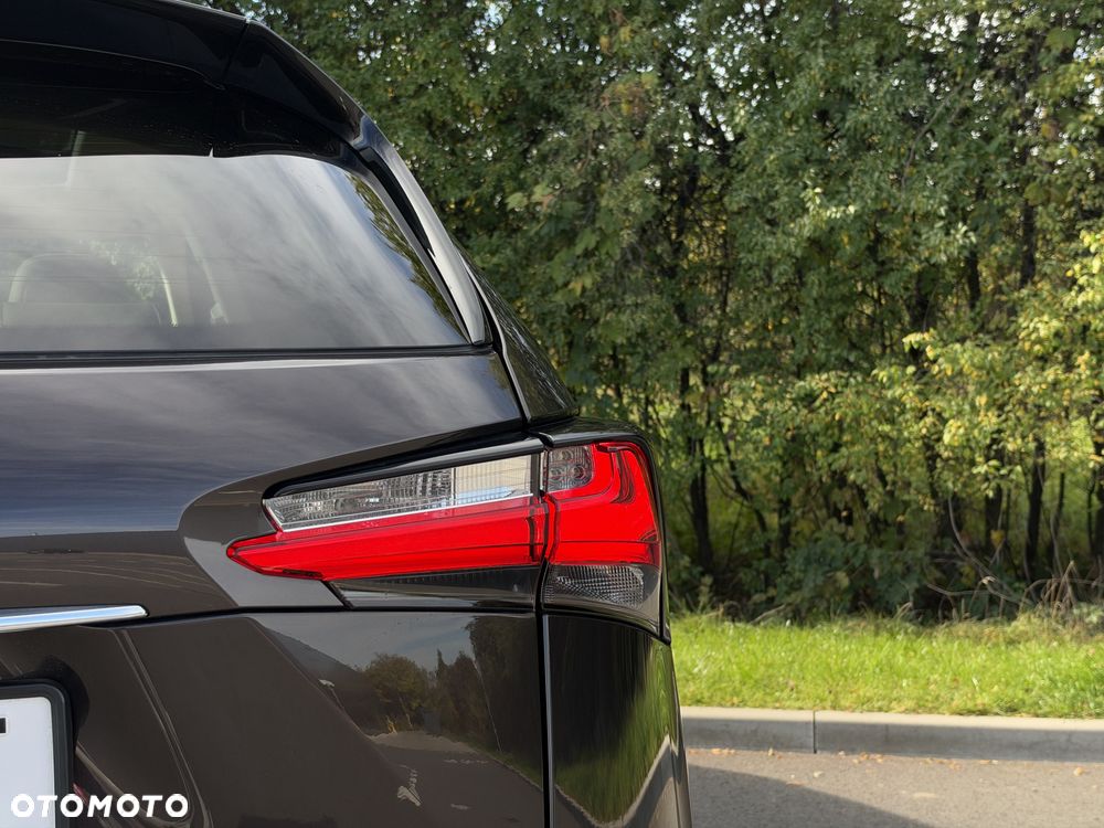 Lexus NX - 31