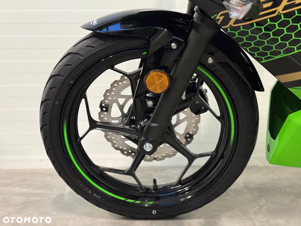 Kawasaki Ninja - 24