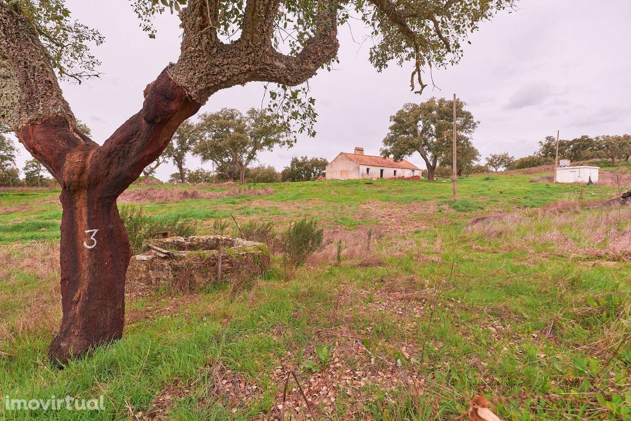 Moradia, 128 m², São Domingos e Vale de Água - Grande imagem: 5/58