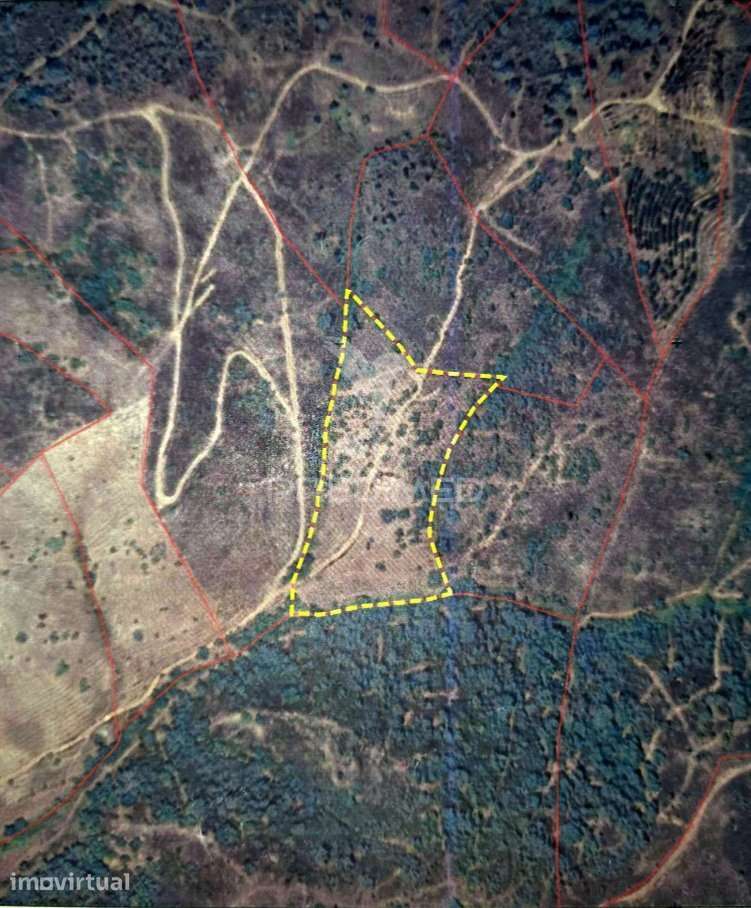 Casa em Ruinas, Vale da Vila, Algarve - Grande imagem: 2/8