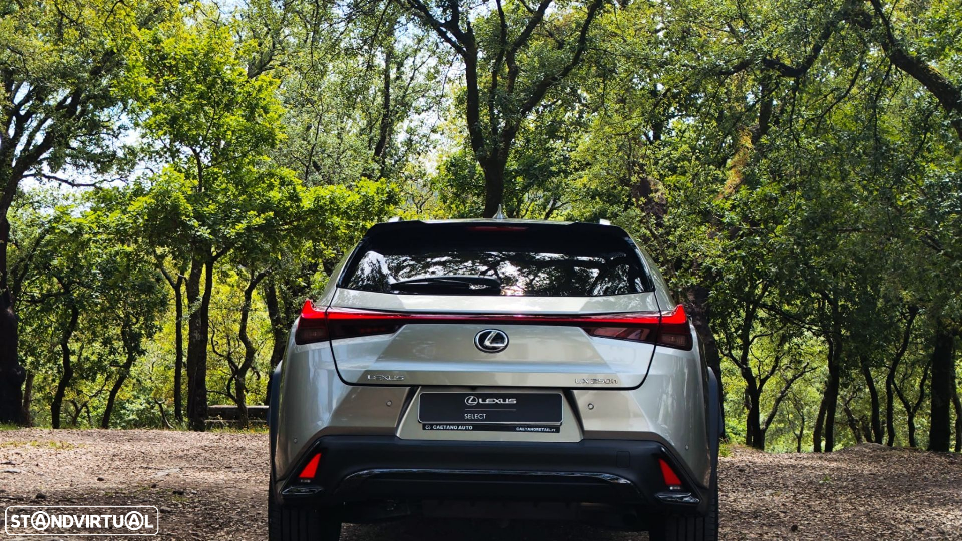 Lexus ux-250h Sport - 6