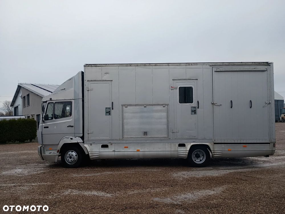 Mercedes-Benz 814 Auto do transportu Koni - 2