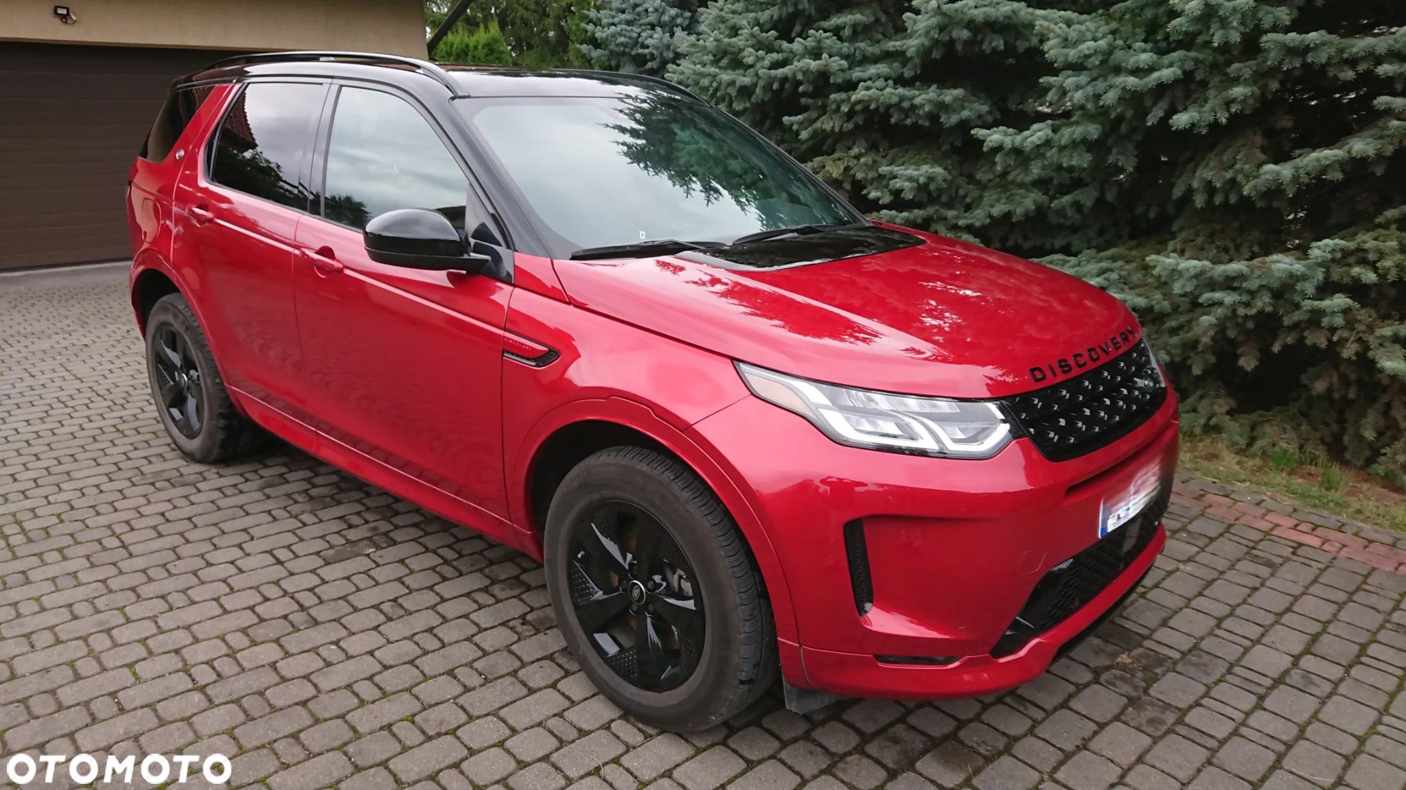 Land Rover Discovery Sport P250 R-Dynamic S - 1