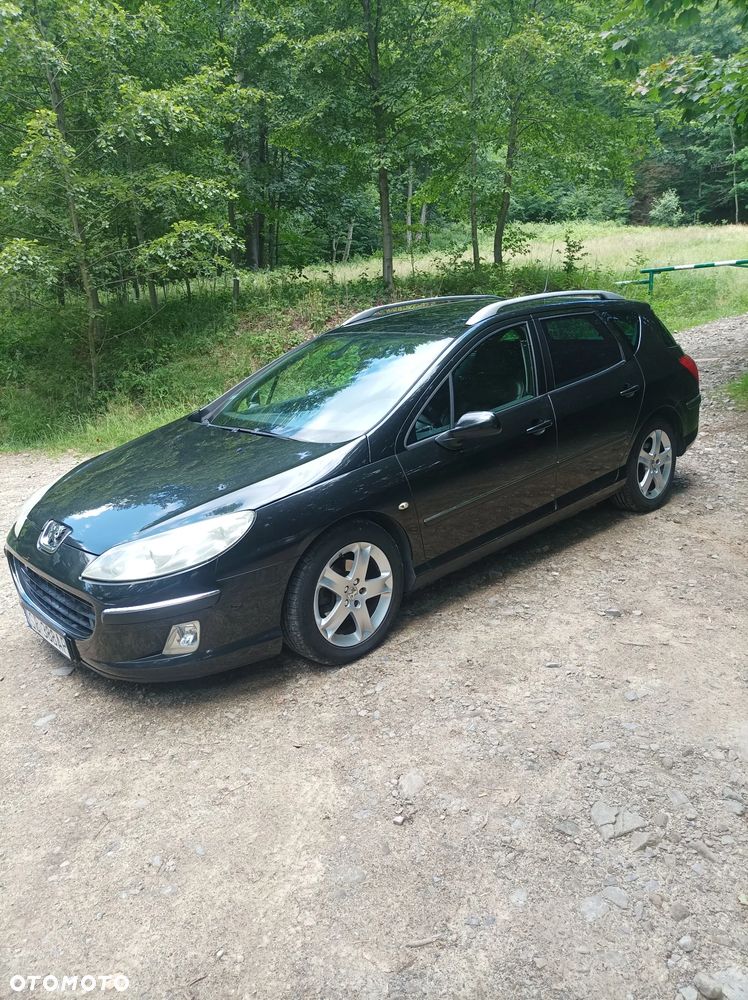 Peugeot 407 - 1