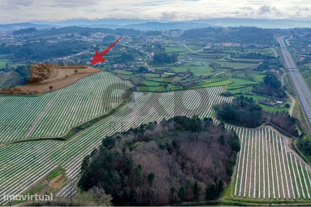Oportunidade Única: quinta com 6 H, com 5.0000 m2 de área de armazéns - Grande imagem: 3/35