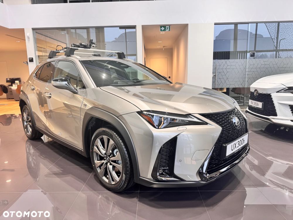 Lexus UX 300h F Sport Design - 4