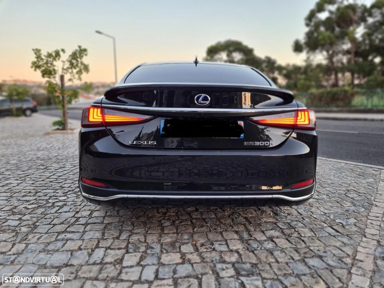 Lexus ES 300h Luxury - 6