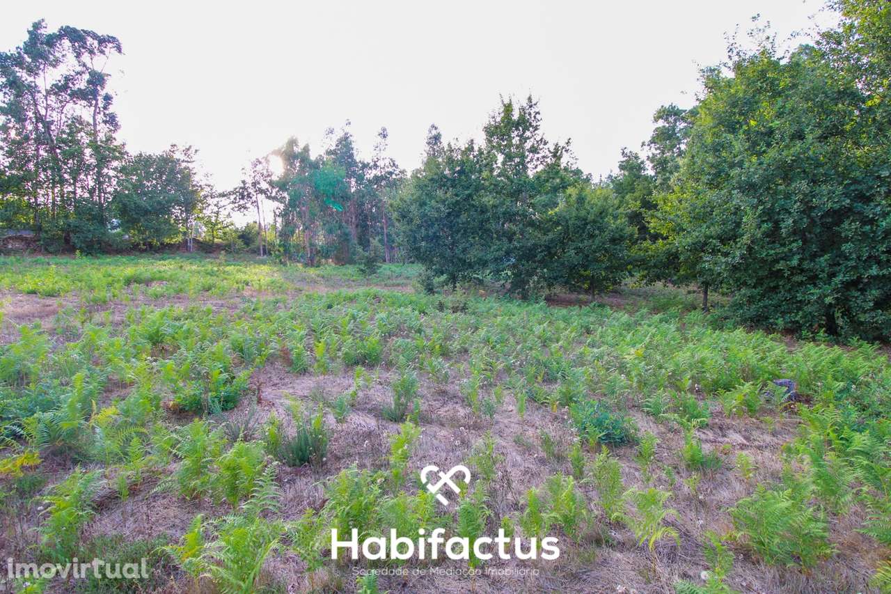 Terreno para Construção com 4720m² em Sabugosa – Ideal para Moradia Is - Grande imagem: 4/9