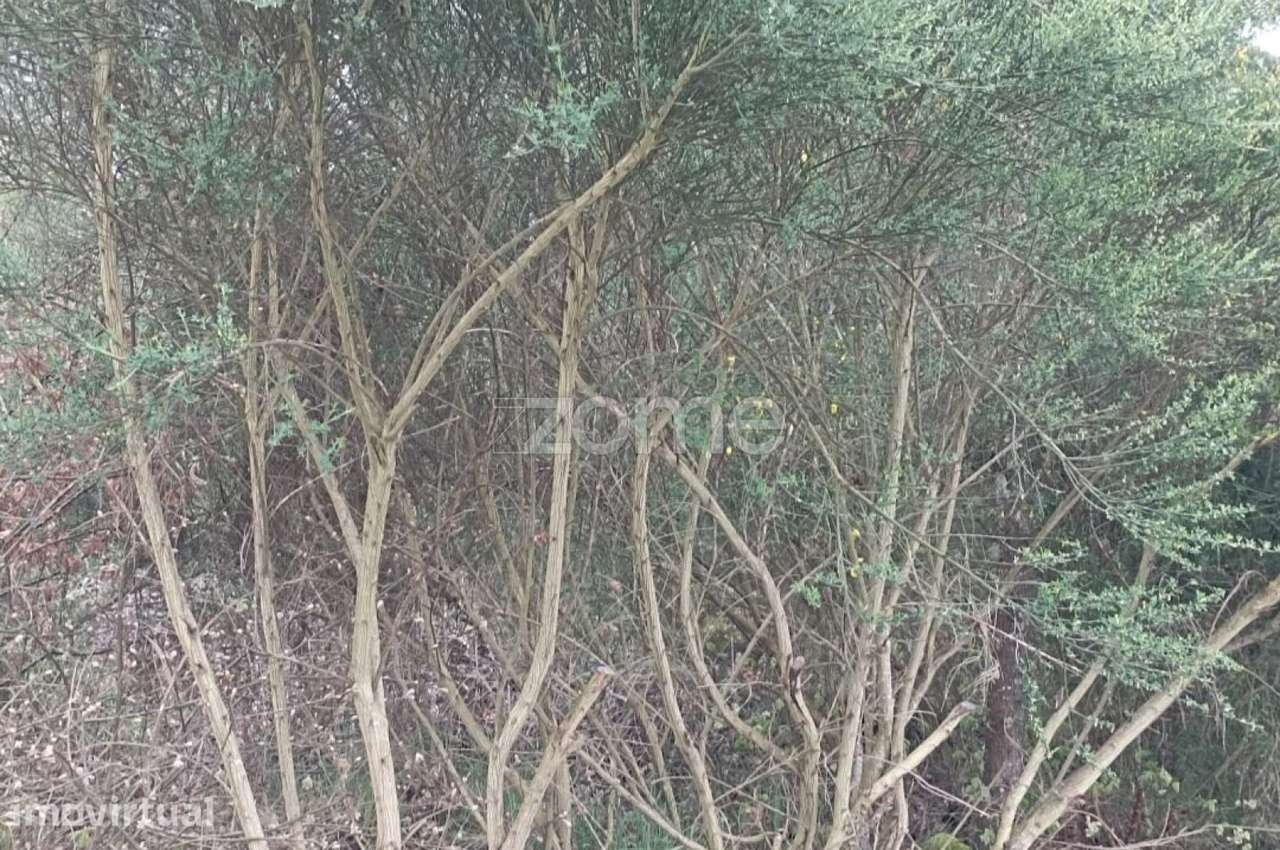 Terreno Urbano a 5 kms da cidade de Chaves - Grande imagem: 2/4