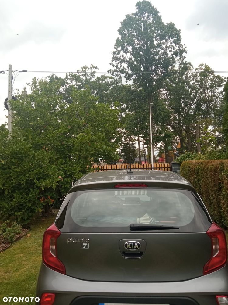 Kia Picanto - 3