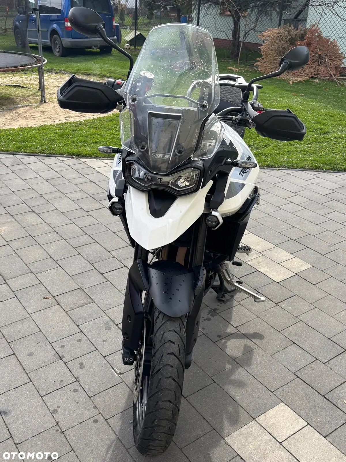 Triumph Tiger