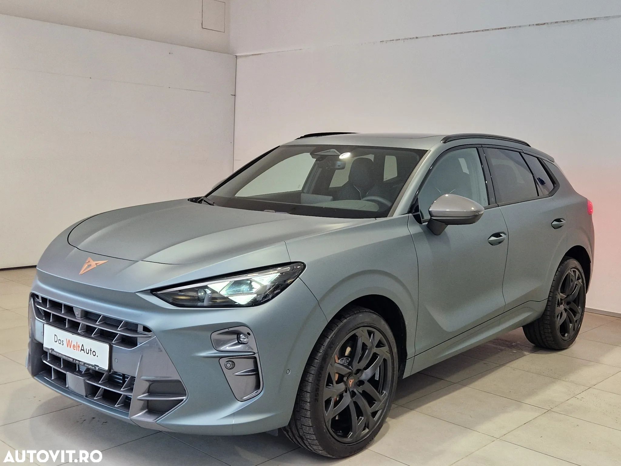 Cupra Terramar - 1