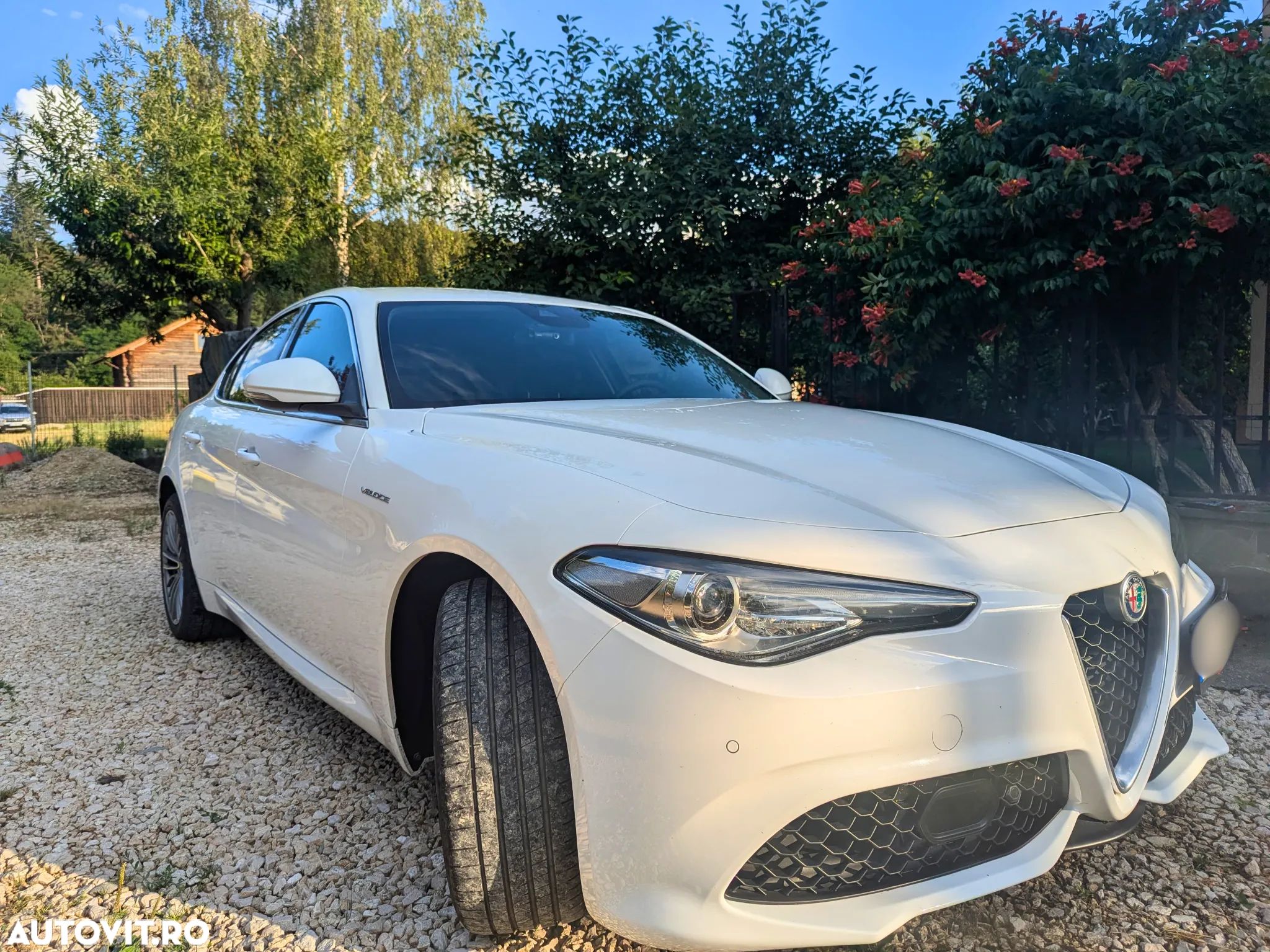 Alfa Romeo Giulia 2.0 Turbo AWD AT8 Veloce - 1