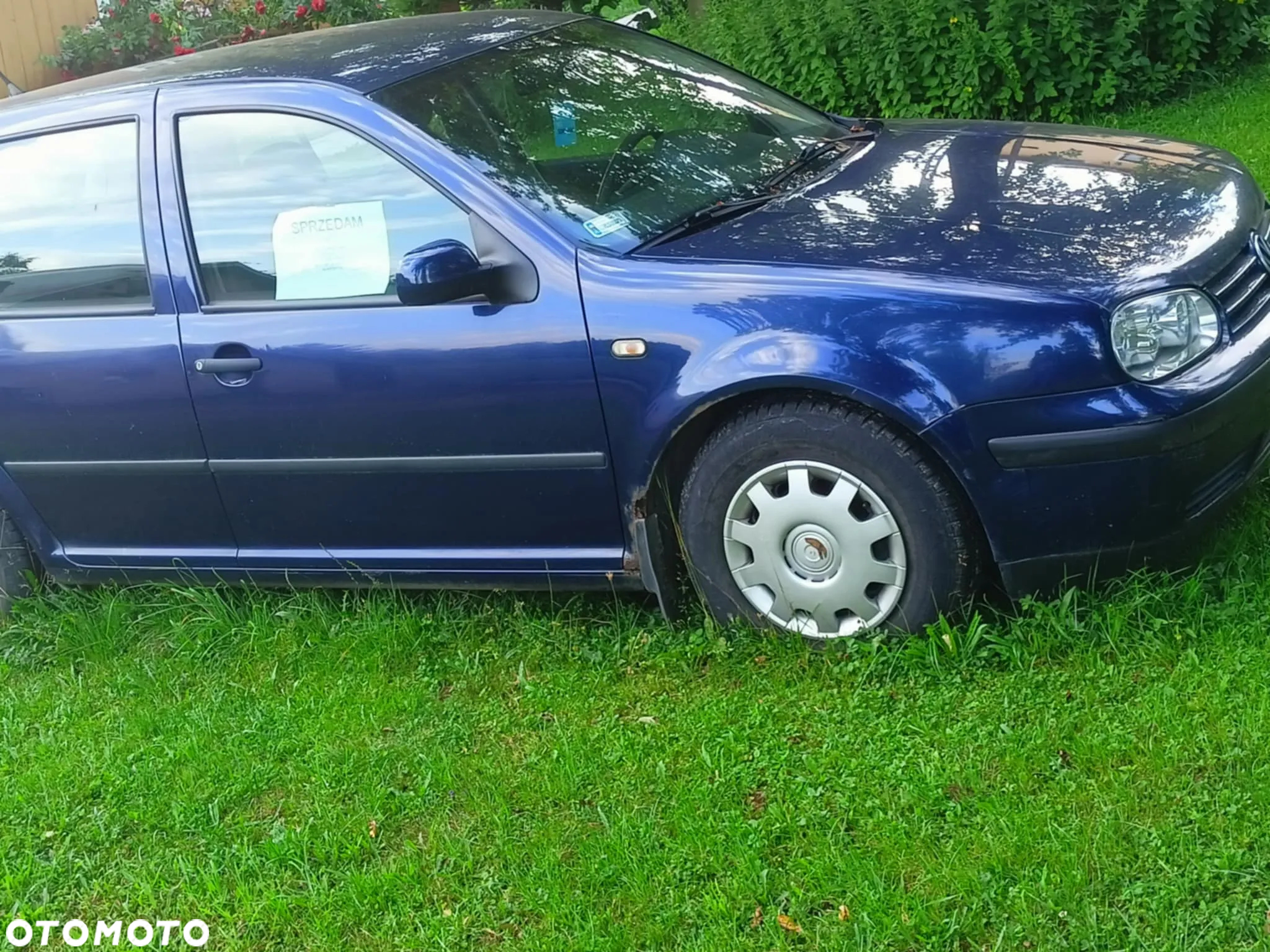 Volkswagen Golf IV 1.4 16V Trendline - 7
