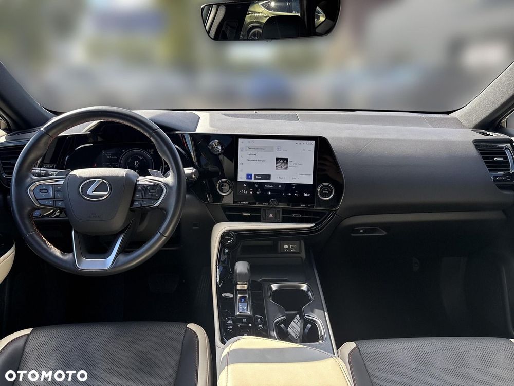 Lexus NX - 10