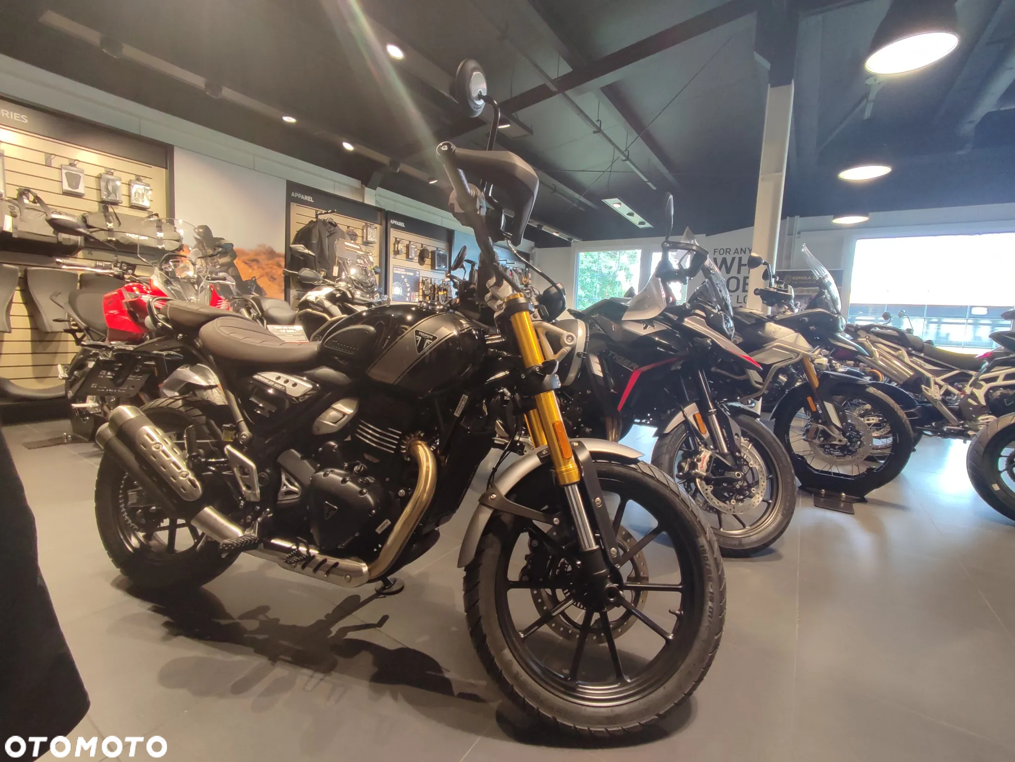 Triumph Scrambler