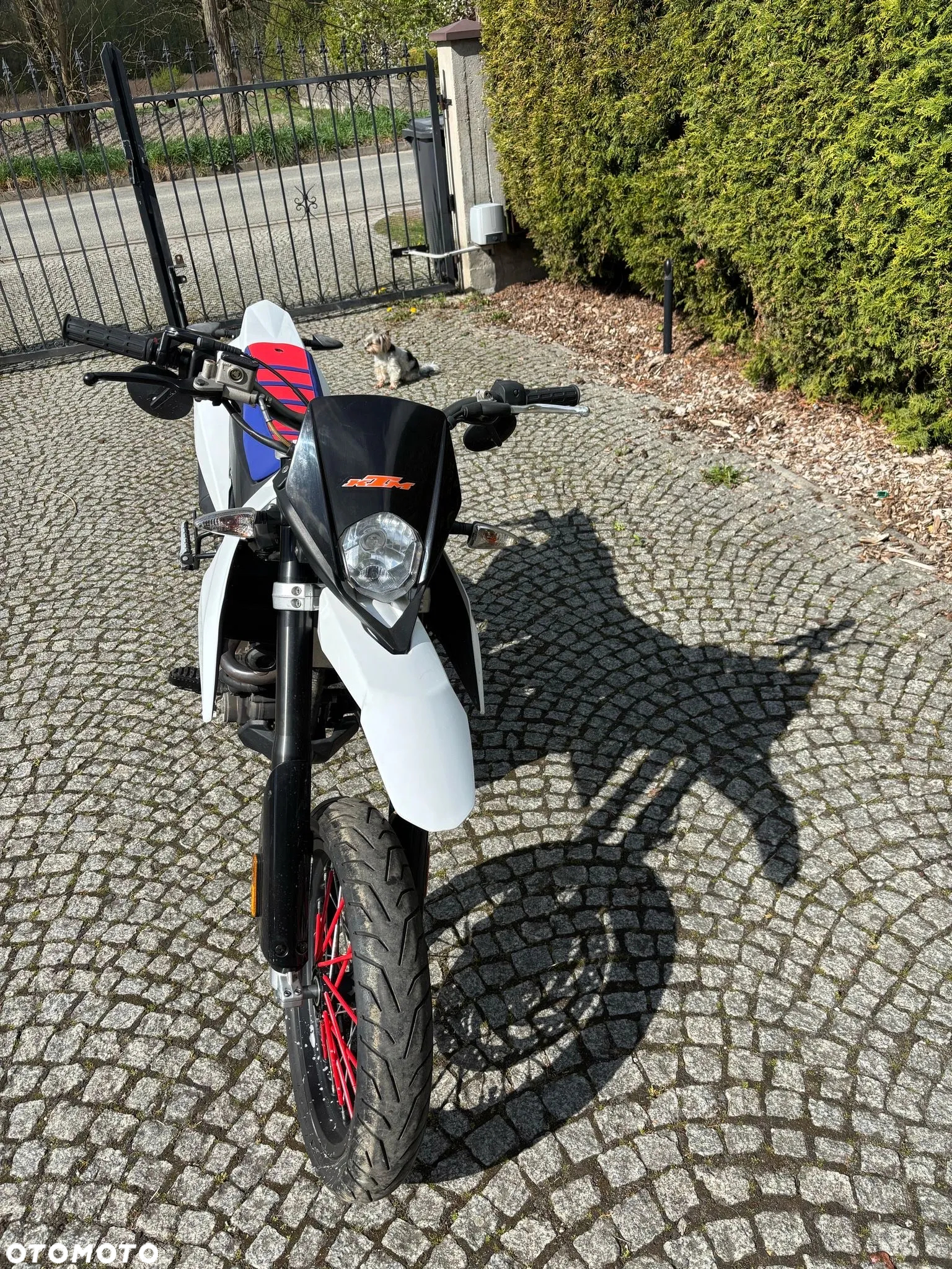 Zundapp Inny