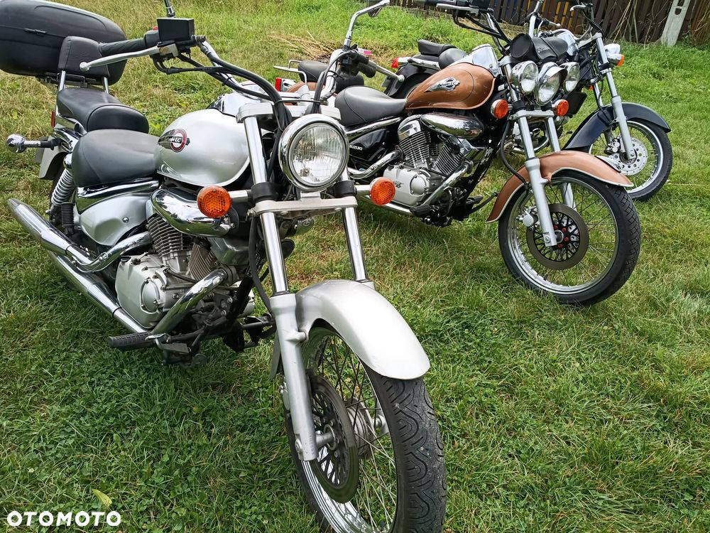 Honda Shadow - 17