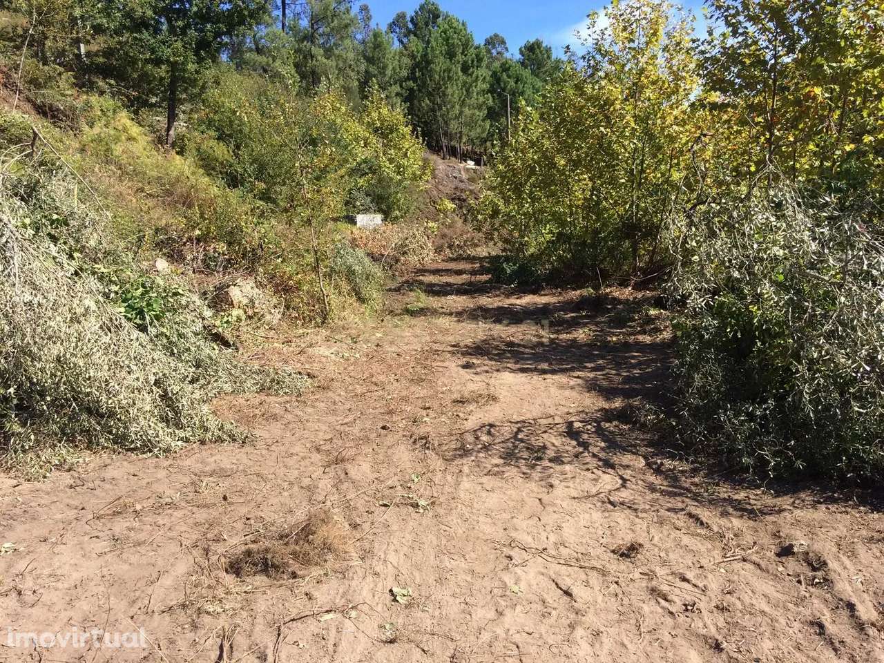 Terreno em Amares – 1.000 m² para Construção ou Turismo! - Grande imagem: 3/29