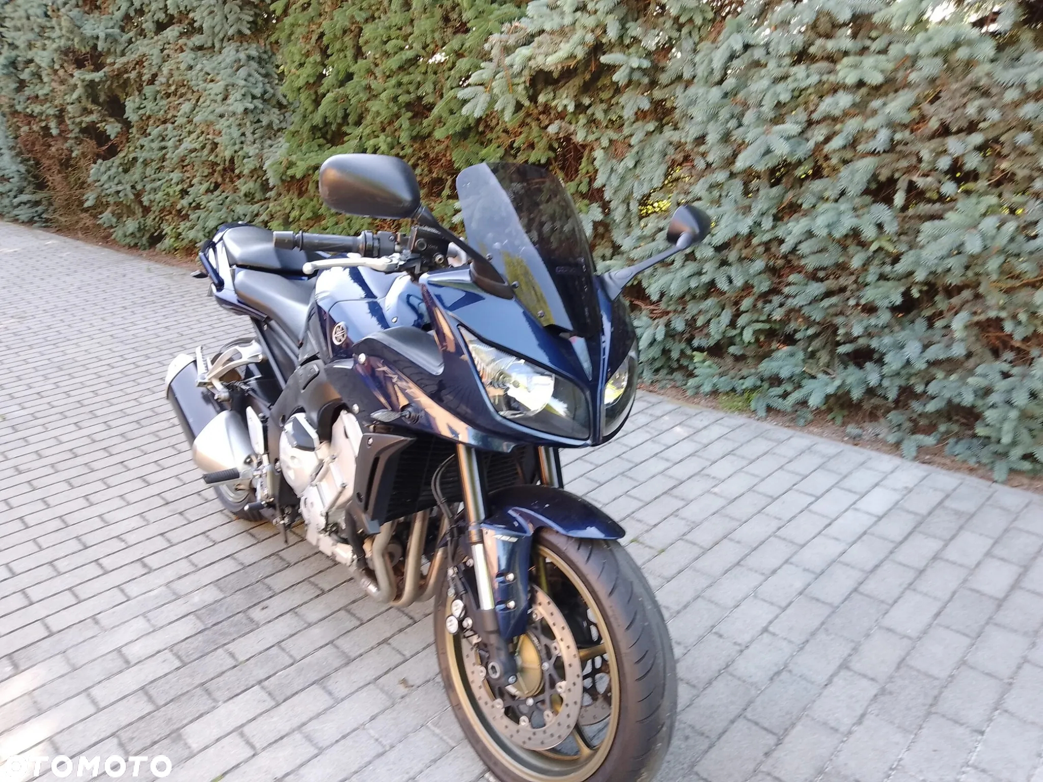 Yamaha FZ - 29