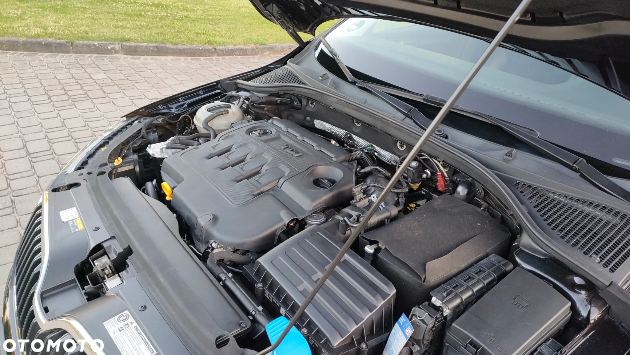 Skoda Octavia Scout 2.0 TDI 4x4 DSG - 15
