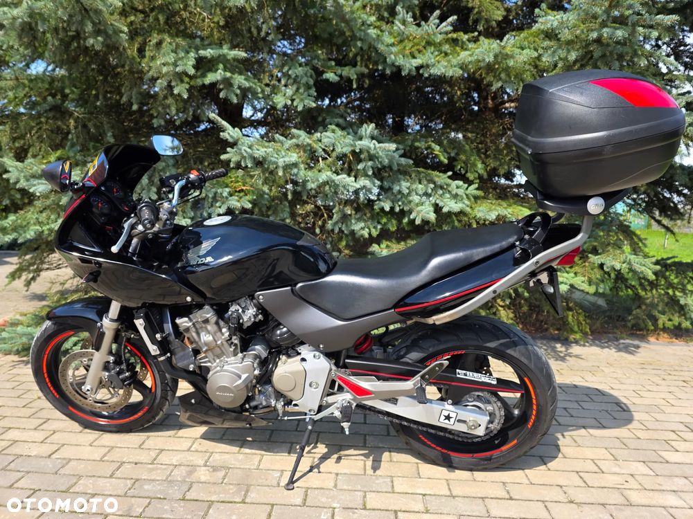 Honda Hornet - 31