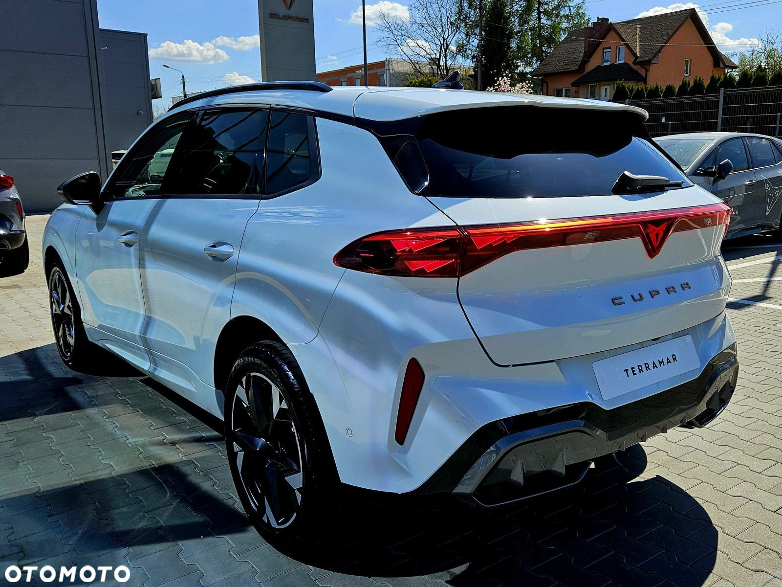 Cupra Terramar - 7