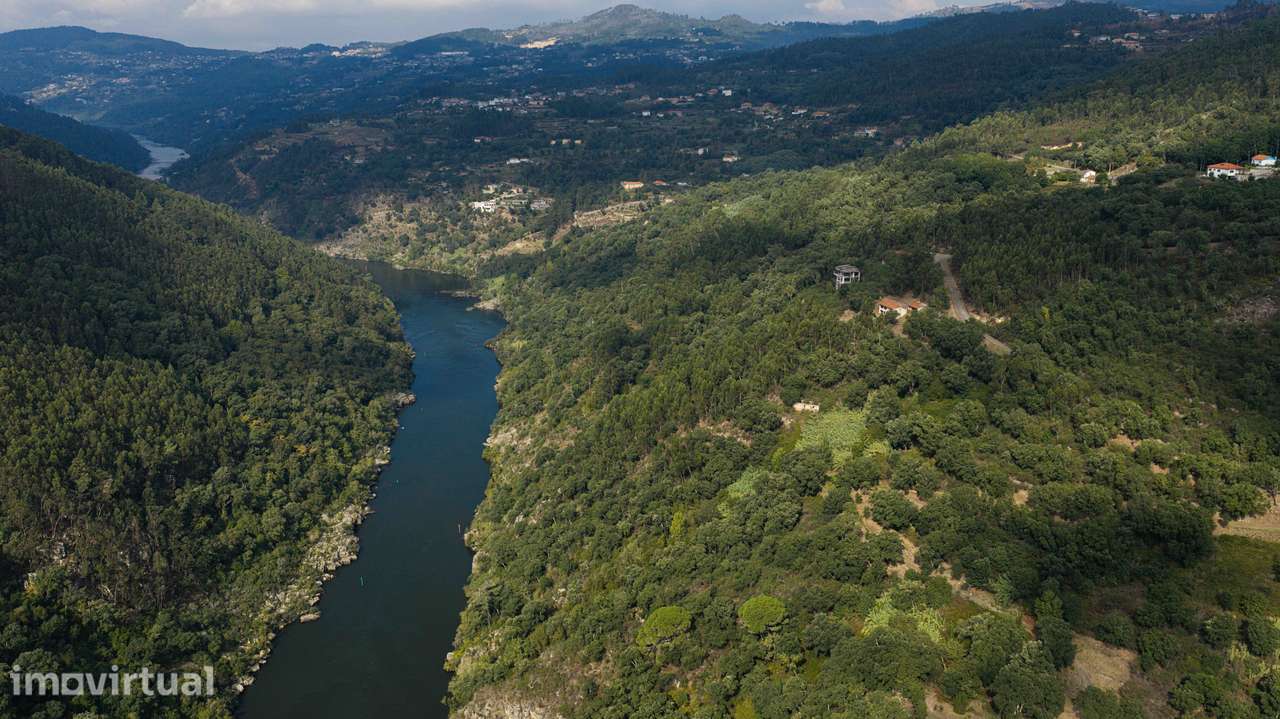 Oportunidade única Quinta da Cardia, Penha Longa, Marco de Canaveses - Grande imagem: 5/29