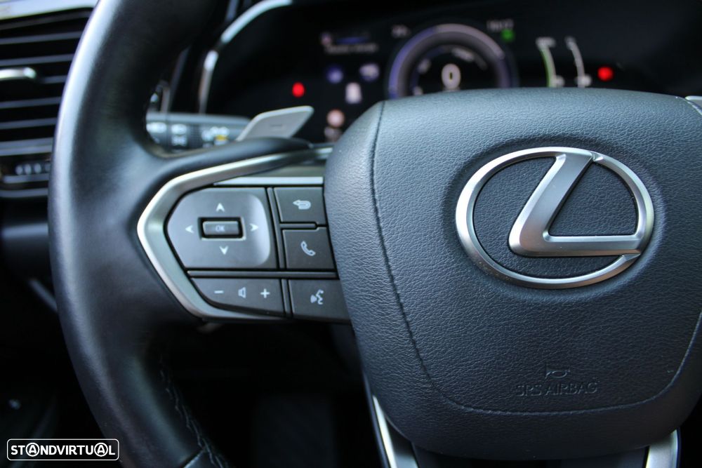 Lexus NX 450h+ Executive - 24