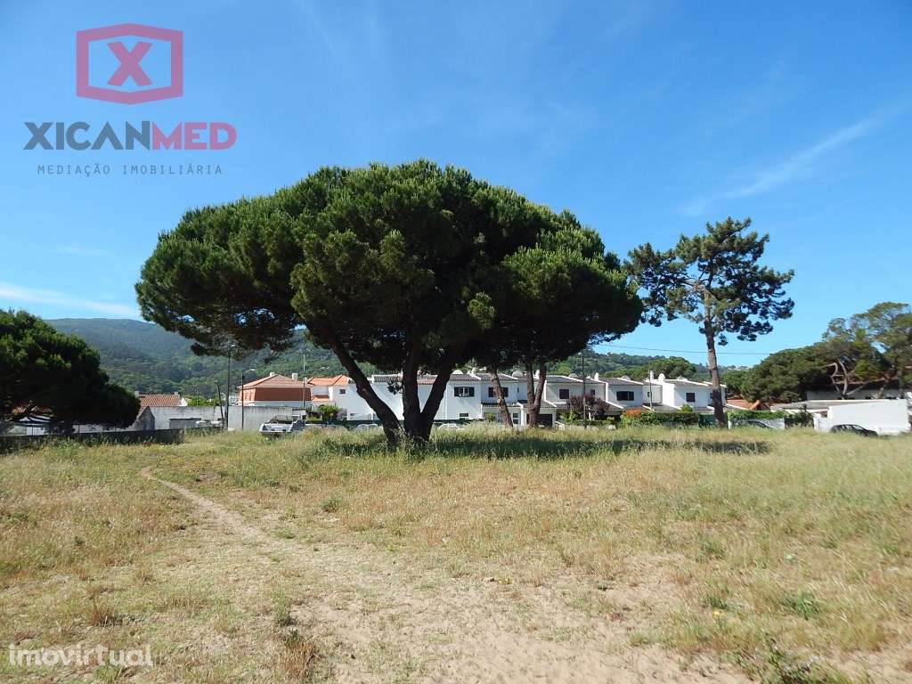 PIP APROVADO - COLARES - Grande imagem: 3/28