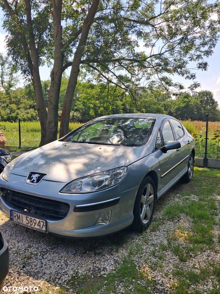 Peugeot 407 - 1