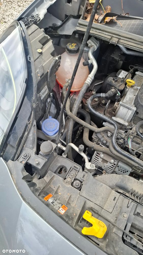 Kia Carens - 14